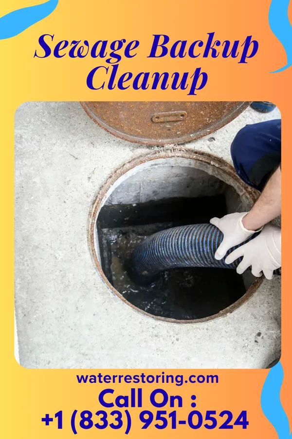 Sewage Backup Cleanup in Graysville, TN