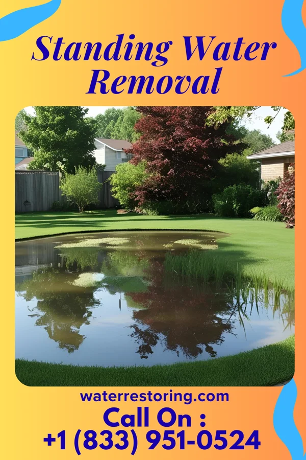 Standing Water Removal in Graysville, TN